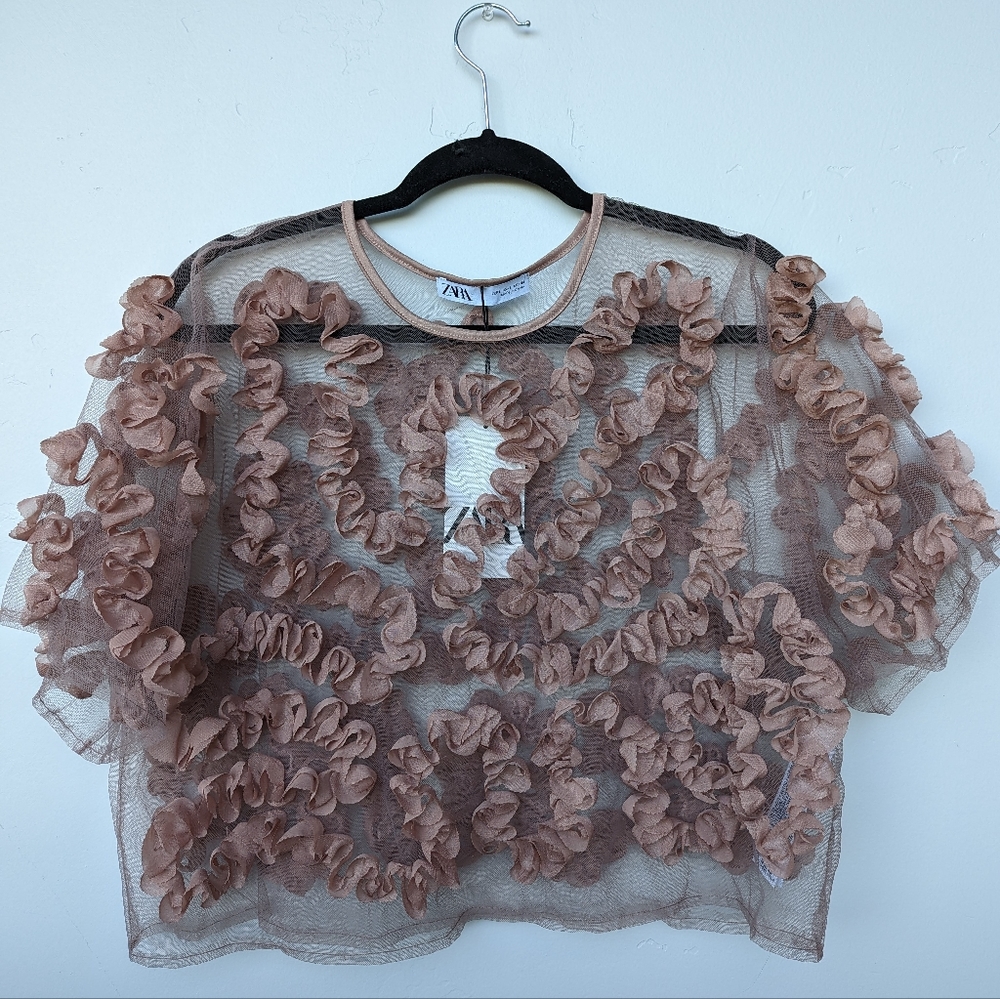 Zara Tulle Top